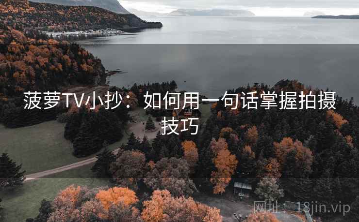 菠萝TV小抄:如何用一句话掌握拍摄技巧 菠萝TV小抄:如何用一句话掌握拍摄技巧